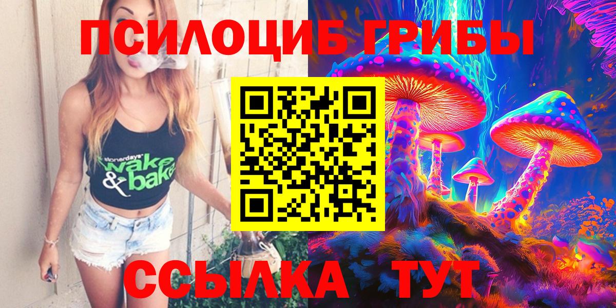 Казань  Галлюциногенные грибы прущие грибы  Вход с VPN 